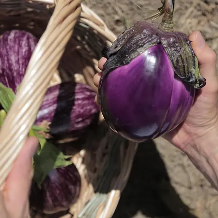 Miramonti Hotell Bagno di Romagna