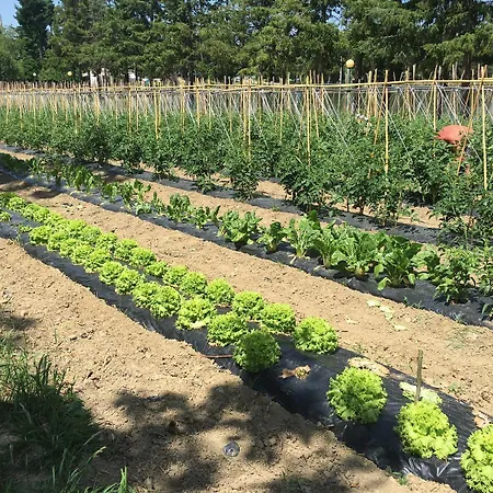 Miramonti 4* Баньо-ди-Романья