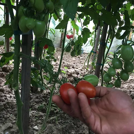 Отель Miramonti Баньо-ди-Романья