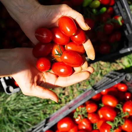 Отель Miramonti 4*