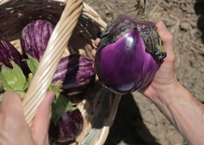 Miramonti Hotell Bagno di Romagna