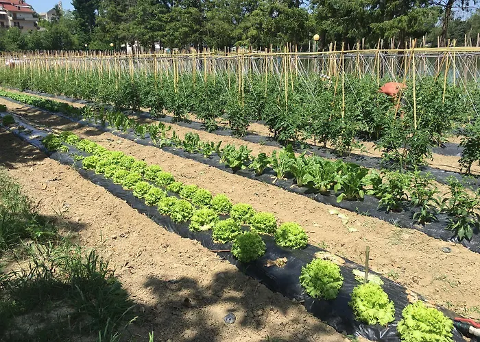 Miramonti 4* Bagno di Romagna