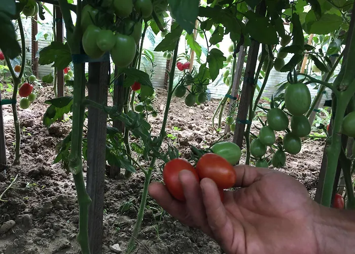 Hotell Miramonti Bagno di Romagna